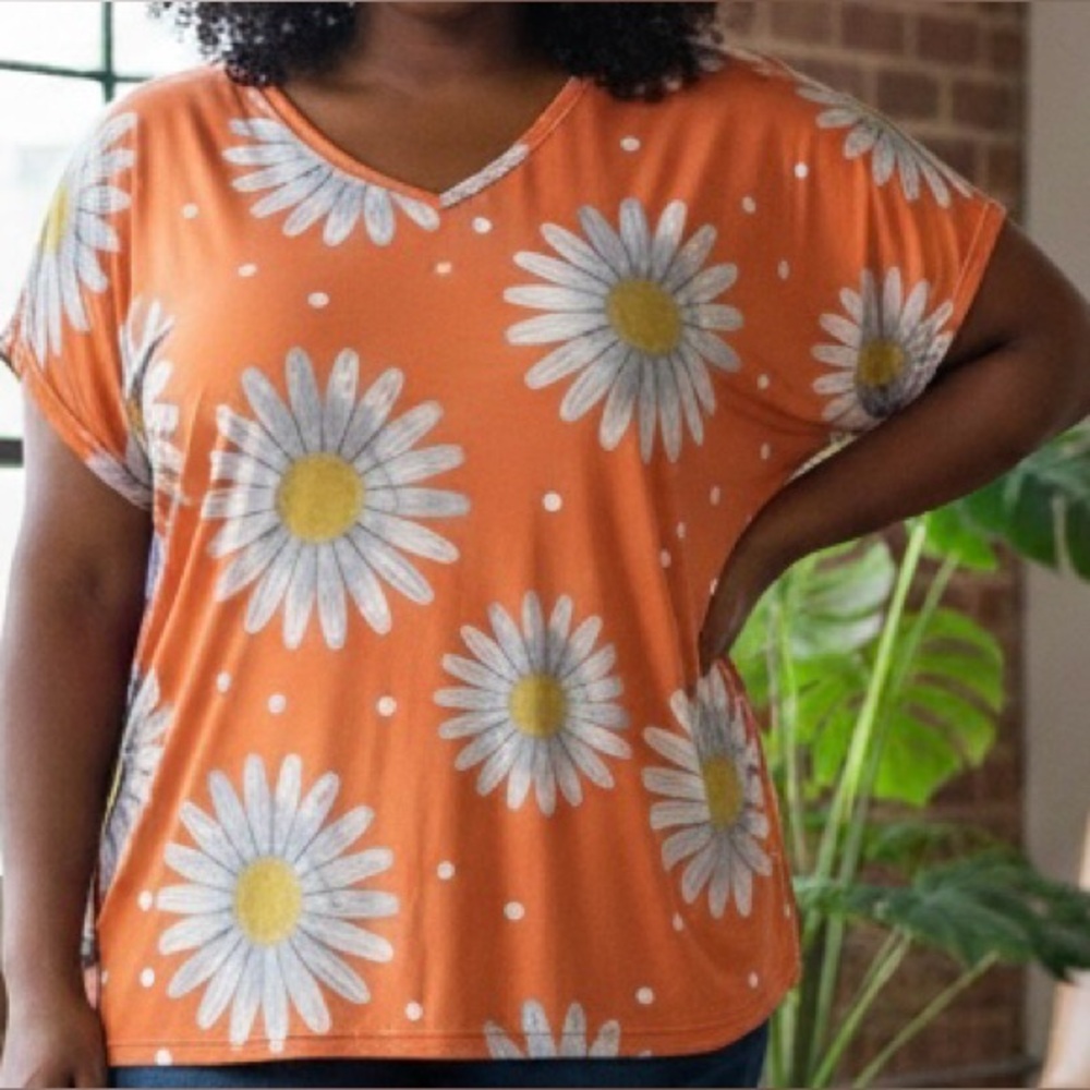 💙 NIBag Shein Floral Daisy V Neck Blouse